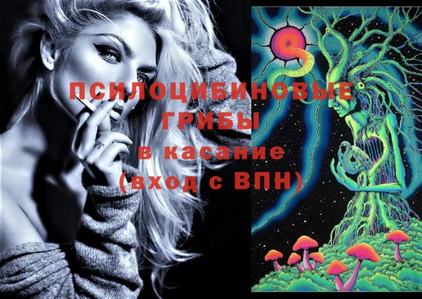 mdpv Верхний Тагил