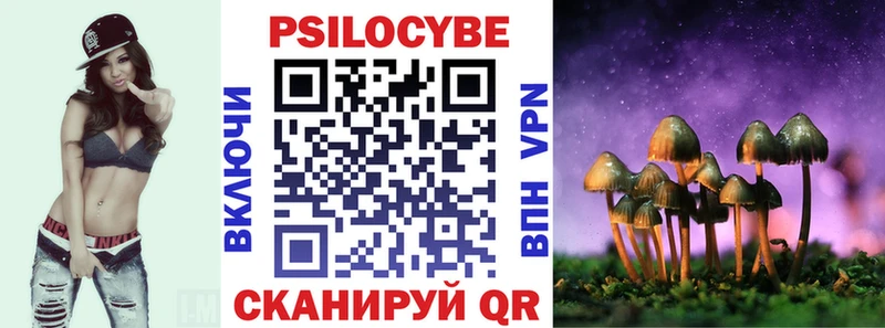 Псилоцибиновые грибы прущие грибы  Новоржев 